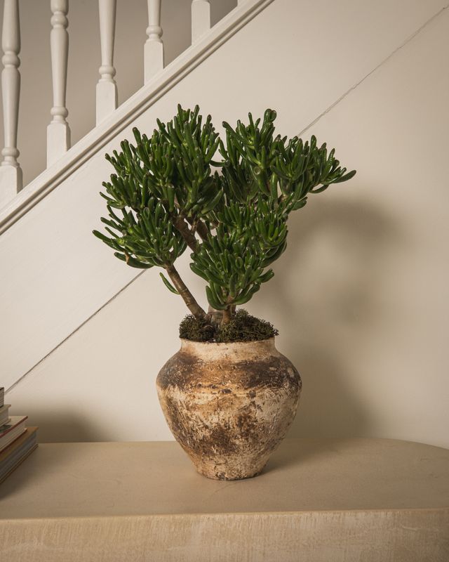Shipwreck Vase