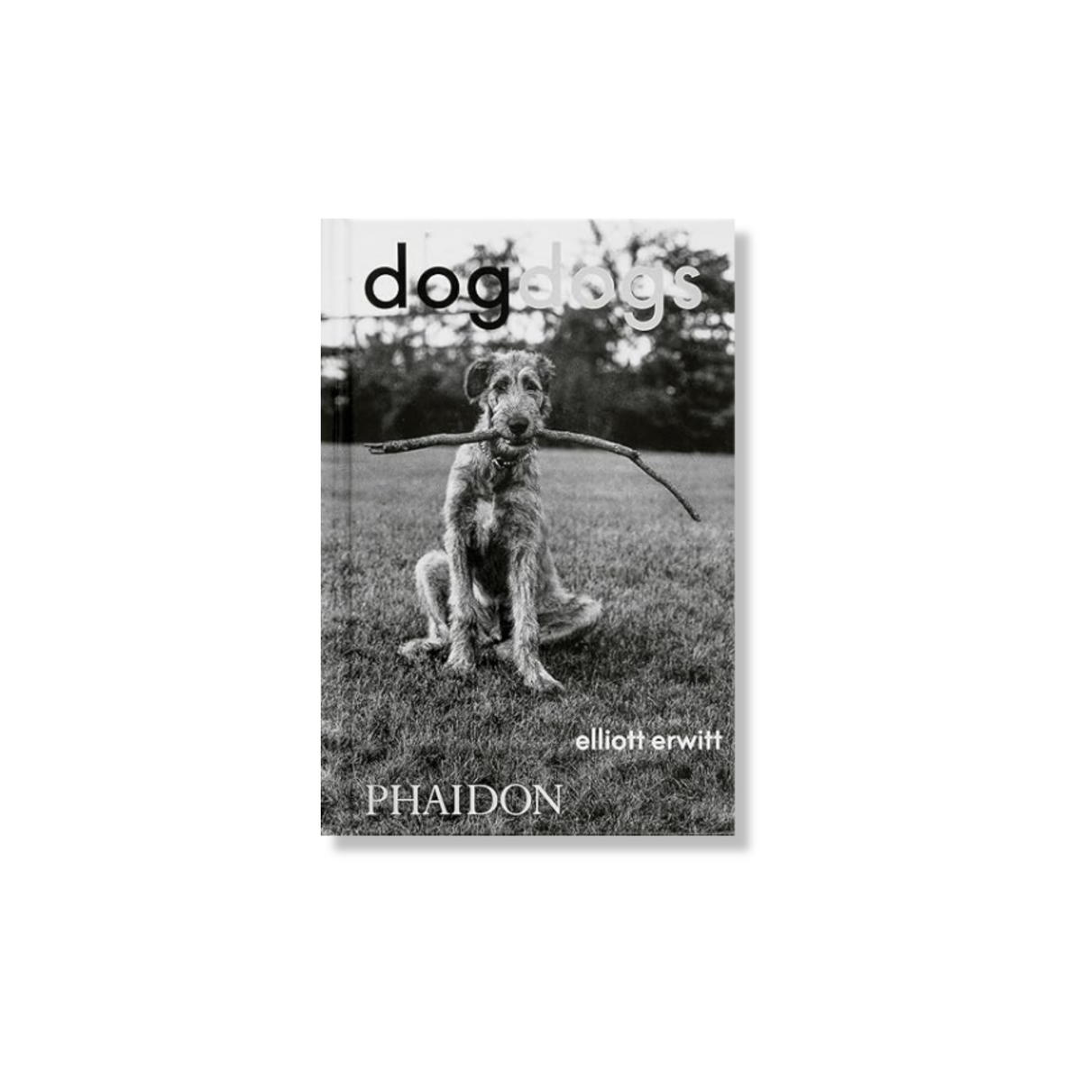 Dogdogs, book