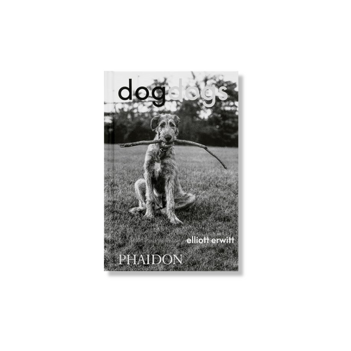 Dogdogs, book