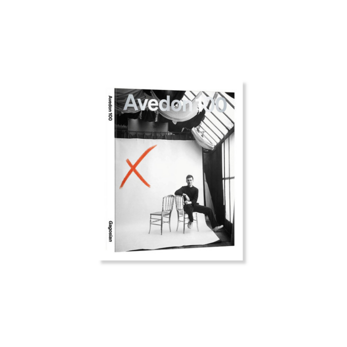Avedon 100, wood book